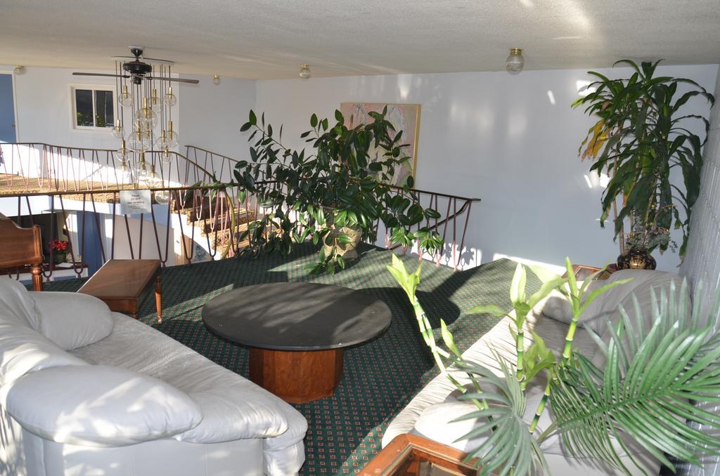 Red Carpet Inn & Suites Ebensburg מראה חיצוני תמונה